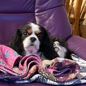 Meet your Posher, Margot